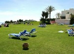 10.Grass by the swimming-pool and the beach